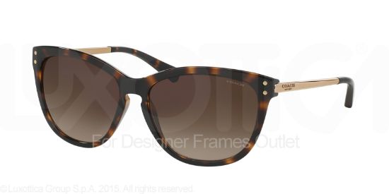 Picture of Coach Sunglasses HC8084
