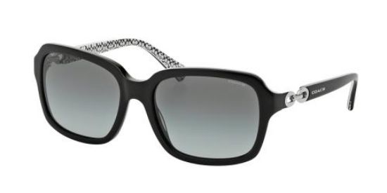 Picture of Coach Sunglasses HC8104