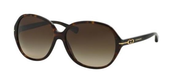 Picture of Coach Sunglasses HC8118