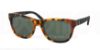Picture of Polo Sunglasses PH4091