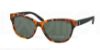 Picture of Polo Sunglasses PH4093