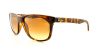 Picture of Ray Ban Sunglasses RB4181
