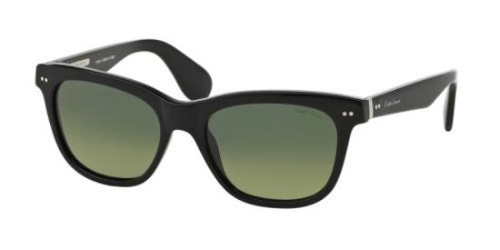 Picture of Ralph Lauren Sunglasses RL8119W