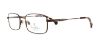 Picture of Brooks Brothers Eyeglasses BB1037T