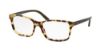 Picture of Polo Eyeglasses PH2142