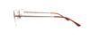 Picture of Polo Eyeglasses PH1001