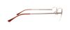 Picture of Polo Eyeglasses PH1001