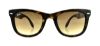 Picture of Ray Ban Sunglasses RB4105