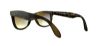 Picture of Ray Ban Sunglasses RB4105