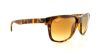 Picture of Ray Ban Sunglasses RB4181