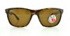 Picture of Ray Ban Sunglasses RB4181