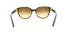 Picture of Dkny Sunglasses DY4117