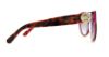 Picture of Michael Kors Sunglasses MK6001B