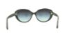 Picture of Michael Kors Sunglasses MK6012