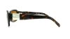 Picture of Ralph Sunglasses RA5049