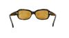 Picture of Ralph Sunglasses RA5049