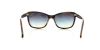 Picture of Emporio Armani Sunglasses EA4004