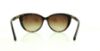 Picture of Michael Kors Sunglasses MK2009 Gstaad