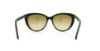 Picture of Michael Kors Sunglasses MK2009 Gstaad
