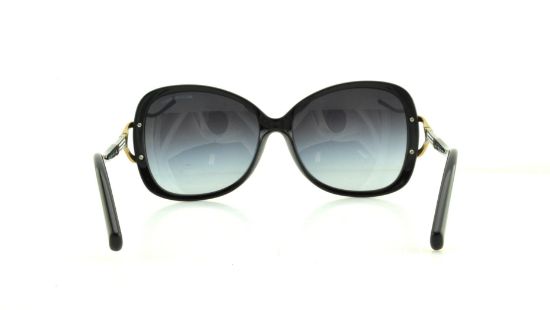 Picture of Michael Kors Sunglasses MK2010B