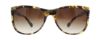 Picture of Coach Sunglasses HC8117