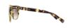 Picture of Coach Sunglasses HC8117
