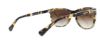 Picture of Coach Sunglasses HC8117