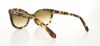 Picture of Kate Spade Sunglasses AMARA/S