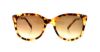 Picture of Kate Spade Sunglasses GAYLA/S