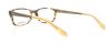 Picture of Fossil Eyeglasses SAMMY