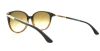 Picture of Kate Spade Sunglasses SHAWNA/S
