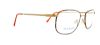 Picture of Flexon Eyeglasses 54