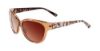 Picture of Bebe Sunglasses BB7079