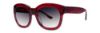 Picture of Kensie Sunglasses BFF
