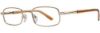 Picture of Gallery Eyeglasses CHAZ