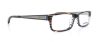Picture of Converse Eyeglasses CITY LIMITS