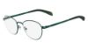 Picture of Calvin Klein Platinum Eyeglasses CK5400
