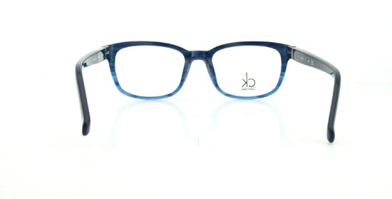 Picture of Calvin Klein Platinum Eyeglasses 5793