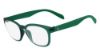 Picture of Calvin Klein Platinum Eyeglasses CK5830