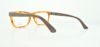 Picture of Calvin Klein Collection Eyeglasses CK7911