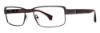 Picture of Republica Eyeglasses EDMONTON