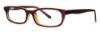 Picture of Gallery Eyeglasses ERWIN