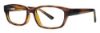 Picture of Gallery Eyeglasses EVAN