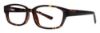 Picture of Gallery Eyeglasses EVAN