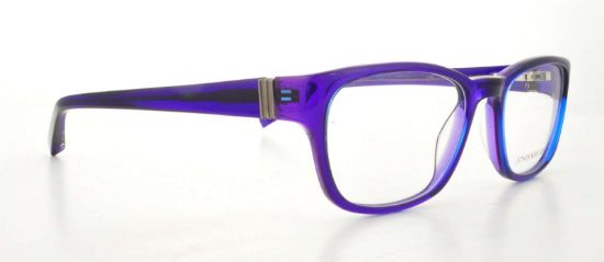 Picture of Jones New York Eyeglasses J748