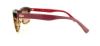 Picture of Lacoste Sunglasses L709S