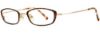 Picture of Dana Buchman Eyeglasses MERIDIAN