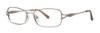 Picture of Destiny Eyeglasses NOREEN