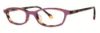 Picture of Lilly Pulitzer Eyeglasses STEFE