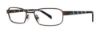 Picture of Tmx By Timex Eyeglasses STOKED